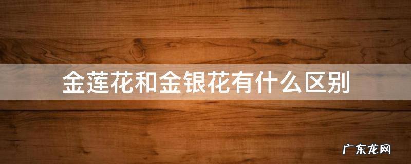 金莲花是金银花吗? 金莲花和金银花有什么区别