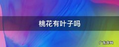 桃花有叶子吗 桃花有叶子吗?是什么样的?