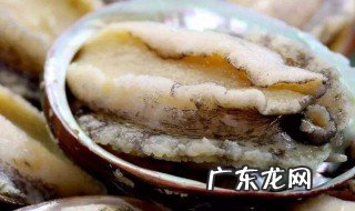 如何做鲍鱼 如何做鲍鱼粥