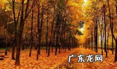 秋季如何养生和运动 秋季如何养生
