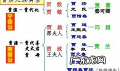 林黛玉进贾府的社会环境 林黛玉进贾府中社会描写有什么作用