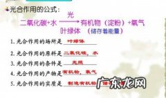 光合作用中水的作用是什么 水和光合作用的关系是什么