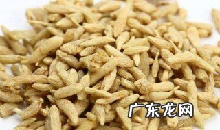 生麦冬煲水什么作用 生麦冬煲水什么作用啊