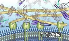 生物作用是指什么生物 生物作用是指什么