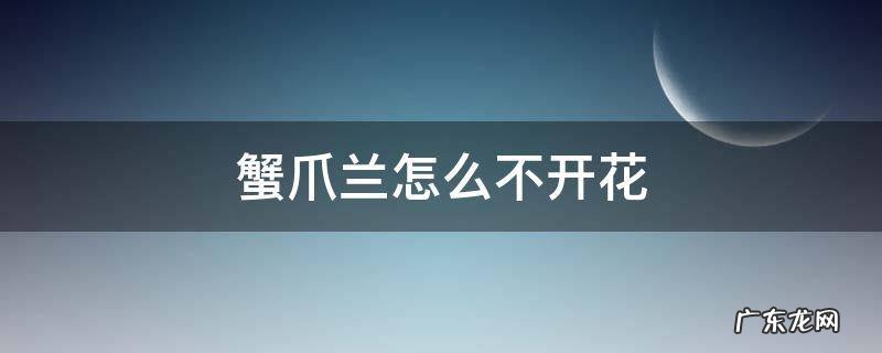 蟹爪兰为什么开不了花 蟹爪兰怎么不开花