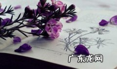 如何学英语的建议 如何学英语