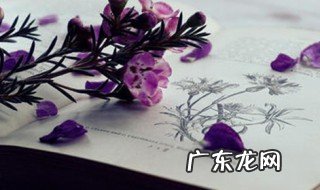 如何学英语的建议 如何学英语