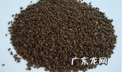 喝觉明子水有什么作用 觉明子可以泡水喝吗