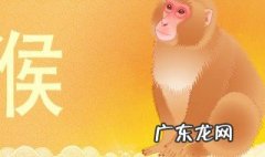 属猴的2020年的运势 属猴的2020年运势如何