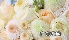 女人做梦梦见自己拉屎是什么意思 梦见自己拉屎是什么意思