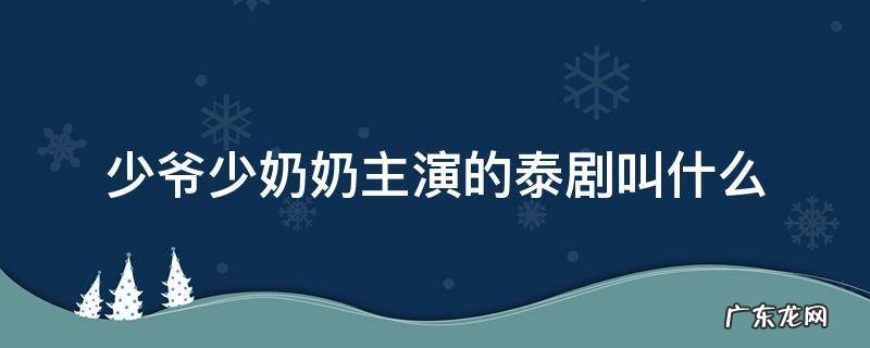 少爷少奶奶是哪部泰剧 少爷少奶奶主演的泰剧叫什么