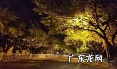 半夜十件不要做的事