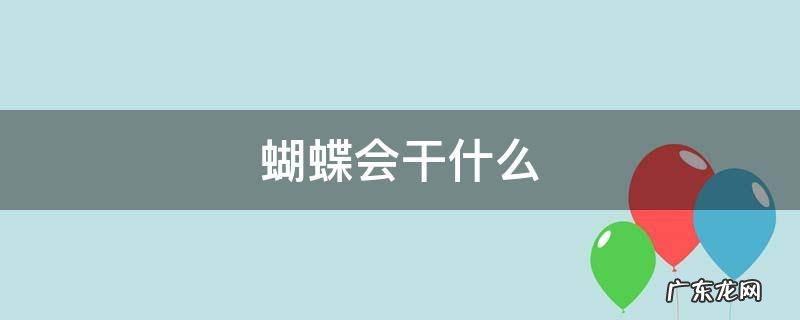 要下雨了小蝴蝶会干什么 蝴蝶会干什么