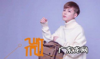 我像个小鸟在等归雁是什么歌名 我像个小鸟在等归雁是什么歌