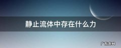 静止流体所受的力 静止流体中存在什么力