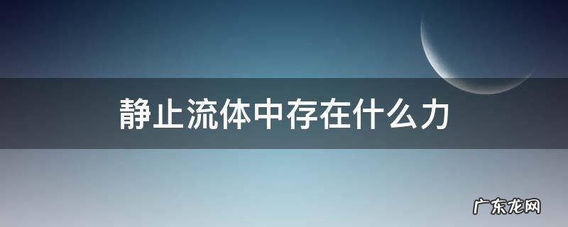 静止流体所受的力 静止流体中存在什么力