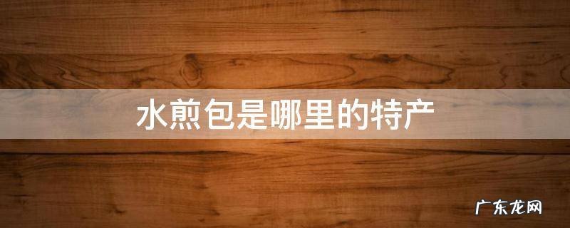 水煎包是哪里的特色美食啊? 水煎包是哪里的特产