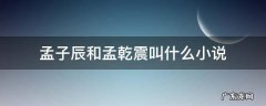 哪部小说主角叫孟辰 孟子辰和孟乾震叫什么小说