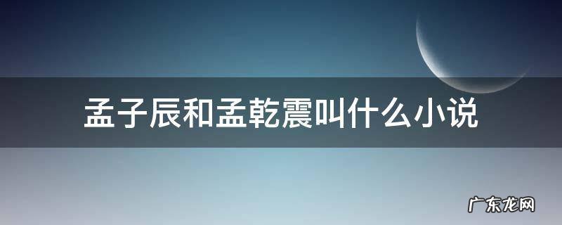 哪部小说主角叫孟辰 孟子辰和孟乾震叫什么小说