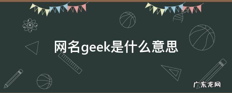 geeky意思 网名geek是什么意思