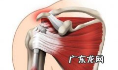 肌肉拉伤怎么快速恢复 肌肉拉伤怎么快速恢复正常