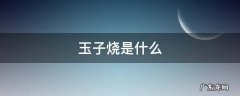 玉子烧是什么 玉子烧是什么食物