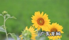 疫情后的句子 疫情后的句子唯美短句图片