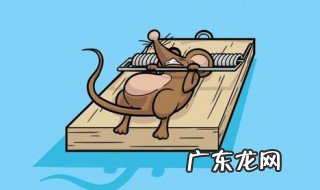 如何灭鼠,灭老鼠最好的方法 如何灭鼠
