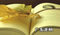 关于爱读书的手抄报内容 读书的手抄报内容