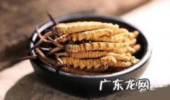冬虫夏草如何吃 冬虫夏草如何吃法最好