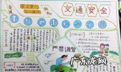 关于交通安全的手抄报内容英语 关于交通安全的手抄报内容