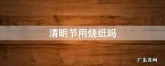 清明节可以烧纸么 清明节用烧纸吗