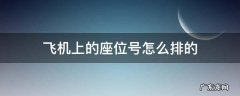 飞机上的座位号是怎么排的 飞机上的座位号怎么排的