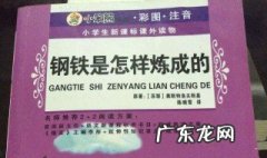读钢铁是怎样炼成的有感 读钢铁是怎样炼成的有感500字