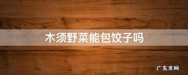 木须野菜能包饺子吗 木须可以包饺子吗