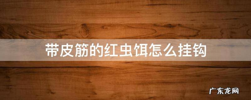 串钩挂红虫用什么钩 带皮筋的红虫饵怎么挂钩