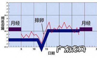 怎样计算排卵期 怎样计算排卵期一般排卵期是几天