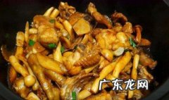 鸡怎么简单炖好吃又简单 鸡怎么简单炖好吃又简单视频