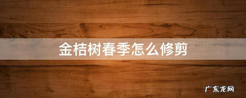 金桔树春天怎么修剪 金桔树春季怎么修剪