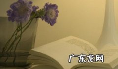 和时间赛跑简单主要内容 和时间赛跑课文内容