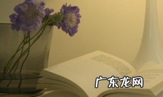 和时间赛跑简单主要内容 和时间赛跑课文内容