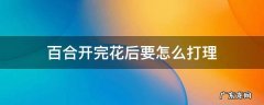 百合花开完花以后怎么打理 百合开完花后要怎么打理