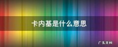 卡内基是什么意思 内卡啥意思