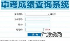 怎样查中考成绩 大学生怎样查中考成绩