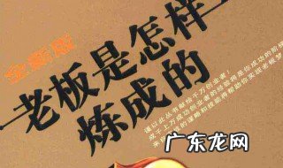老板是怎样炼成的全集 老板是怎样炼成的