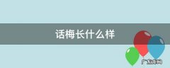 话梅长什么样 话梅长什么样子?