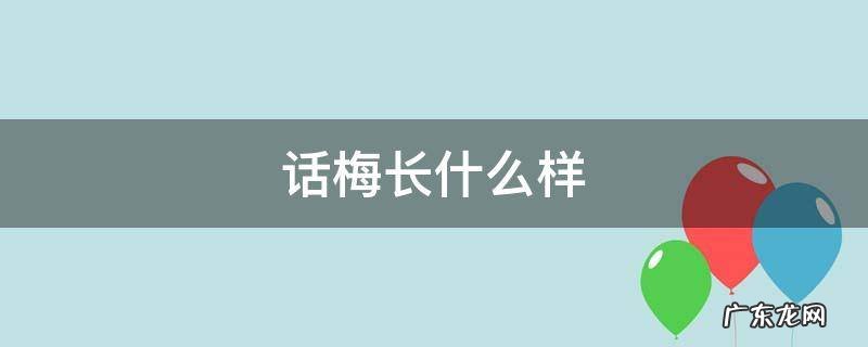 话梅长什么样 话梅长什么样子?