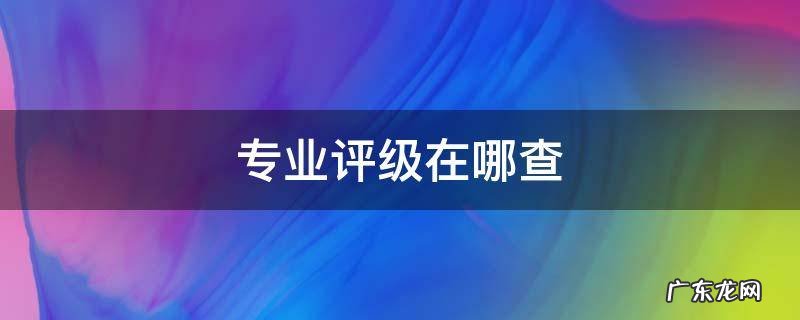 在哪里查专业评级 专业评级在哪查