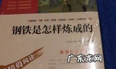 钢铁是怎样炼成的读后感200字 钢铁是怎样炼成的读后感200字初二