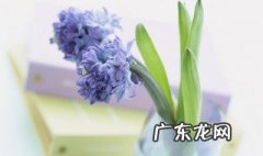 微信个性签名霸气简短 微信个性签名霸气简短正能量女